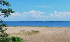 Mierzeja Wiślana: Dziś symboliczne wbicie łopaty. Rusza budowa kanału żeglugowego