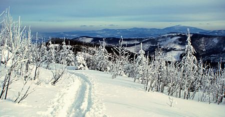 Beskid Śląski. Tragiczny finał akcji poszukiwawczej, nie żyje 19-letni turysta