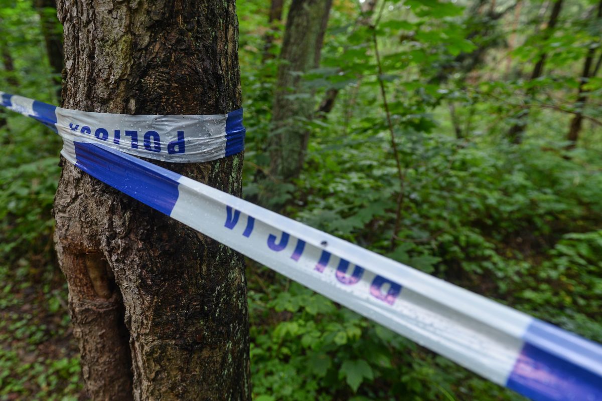 Makabryczne odkrycie w lesie. Znaleziono ciało 15-latki