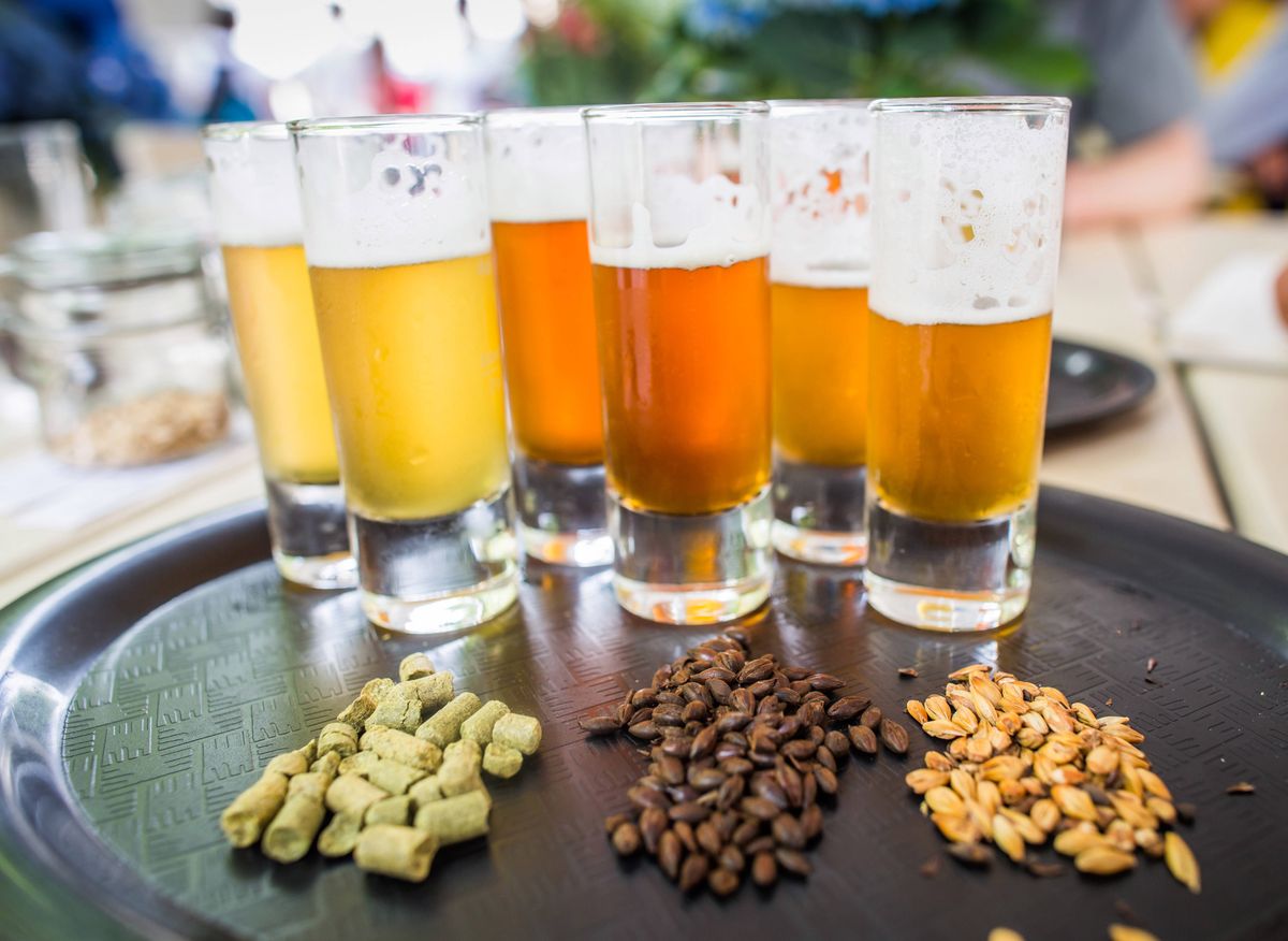 Warzenie piwa w domu – chcesz wiedzieć, czy to jest trudne i czy się opłaca? Sprawdzamy