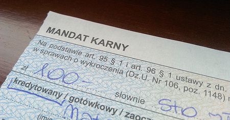 Straże gminne i miejskie bez fotoradarów