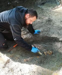 Nowe odkrycie na Westerplatte. Pierwsze poszukiwania od 56 lat
