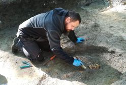 Nowe odkrycie na Westerplatte. Pierwsze poszukiwania od 56 lat