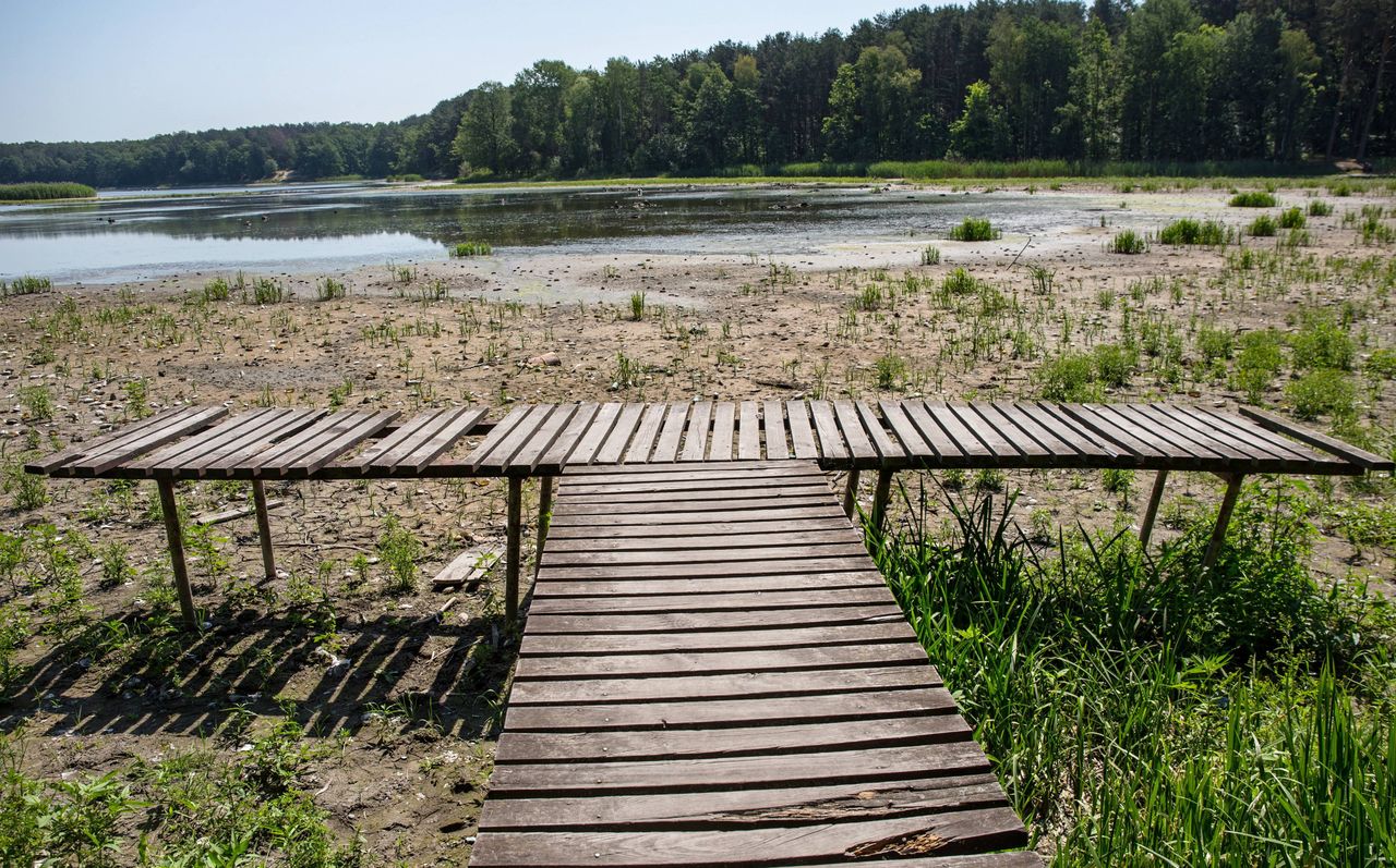 Przytłaczająca większość badanych Polaków widzi zmiany klimatyczne [BADANIE]