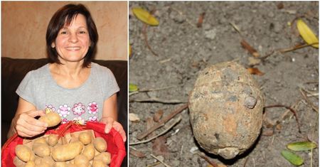 Niesamowite znalezisko w worku z ziemniakami. Myślała, że to kamień, ale kupiła... granat