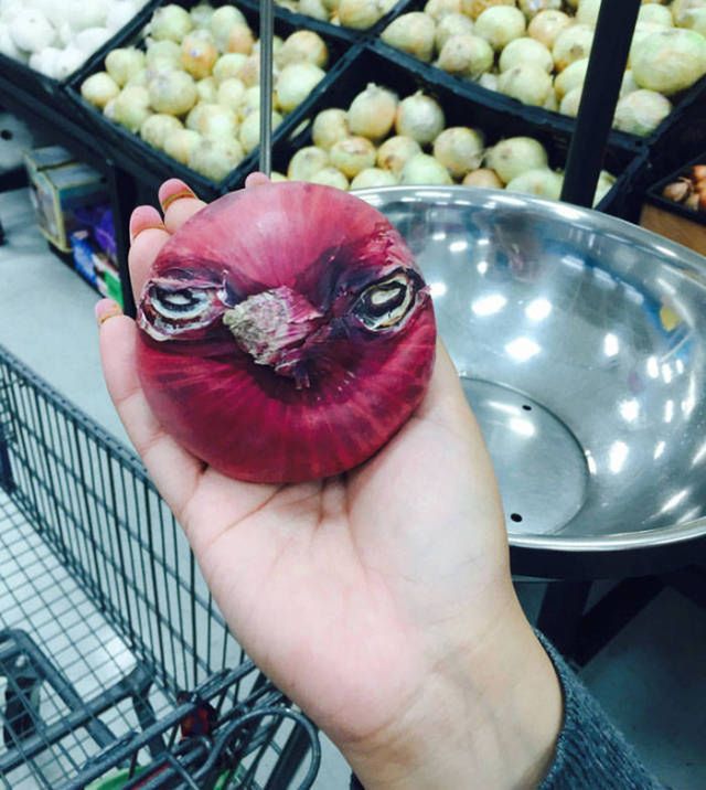 Angry Bird