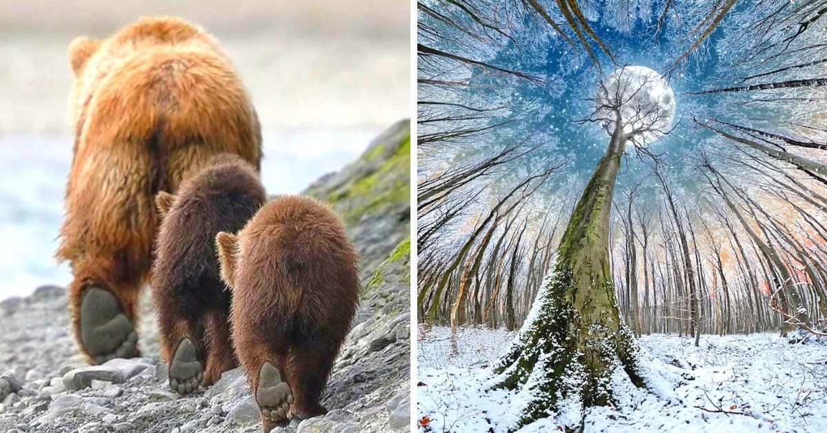 19 Proof That If Mother Nature Was a Human, She'd Have an Eye for Perfectionism