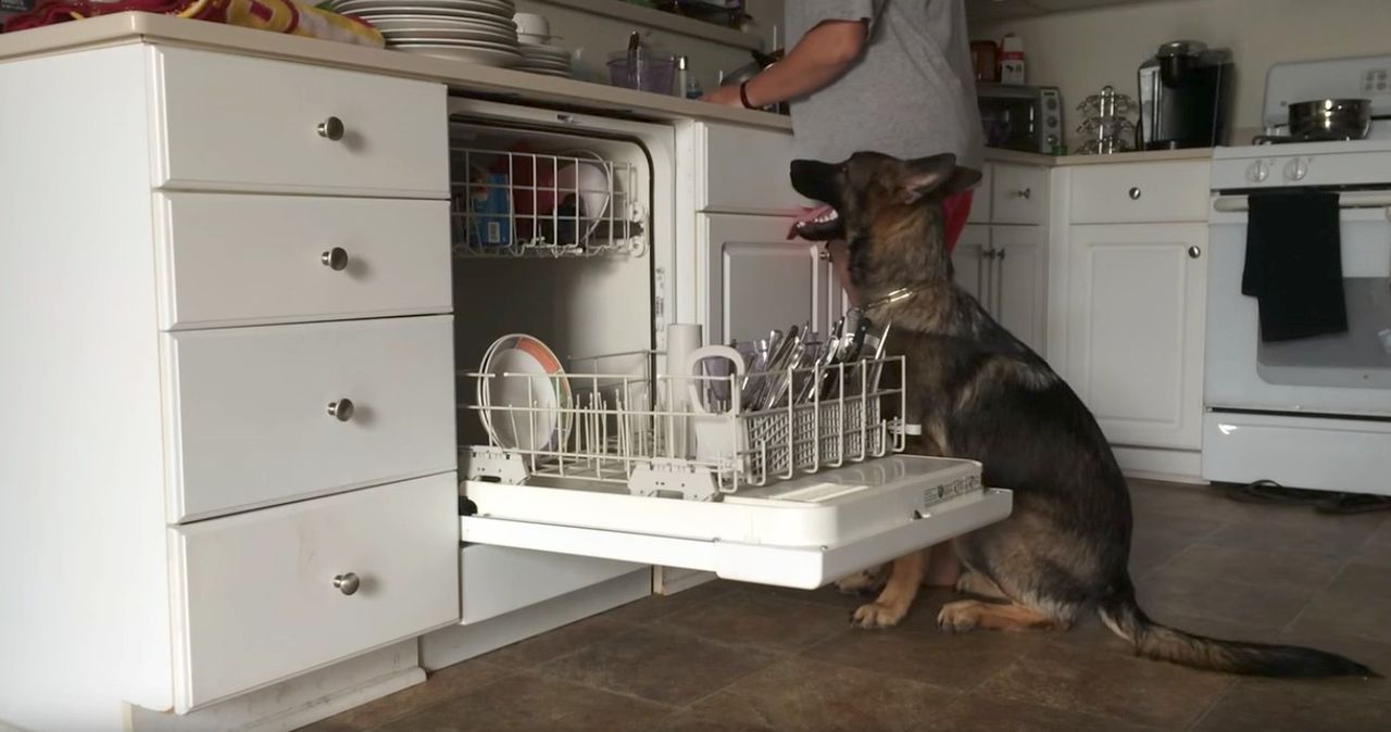 O takim pomocniku w kuchni marzy każdy z nas. Jest po prostu genialny!