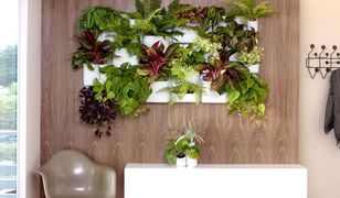 Zrób sobie ogród w salonie. Efektowne sposoby eksponowania zieleni na ścianach