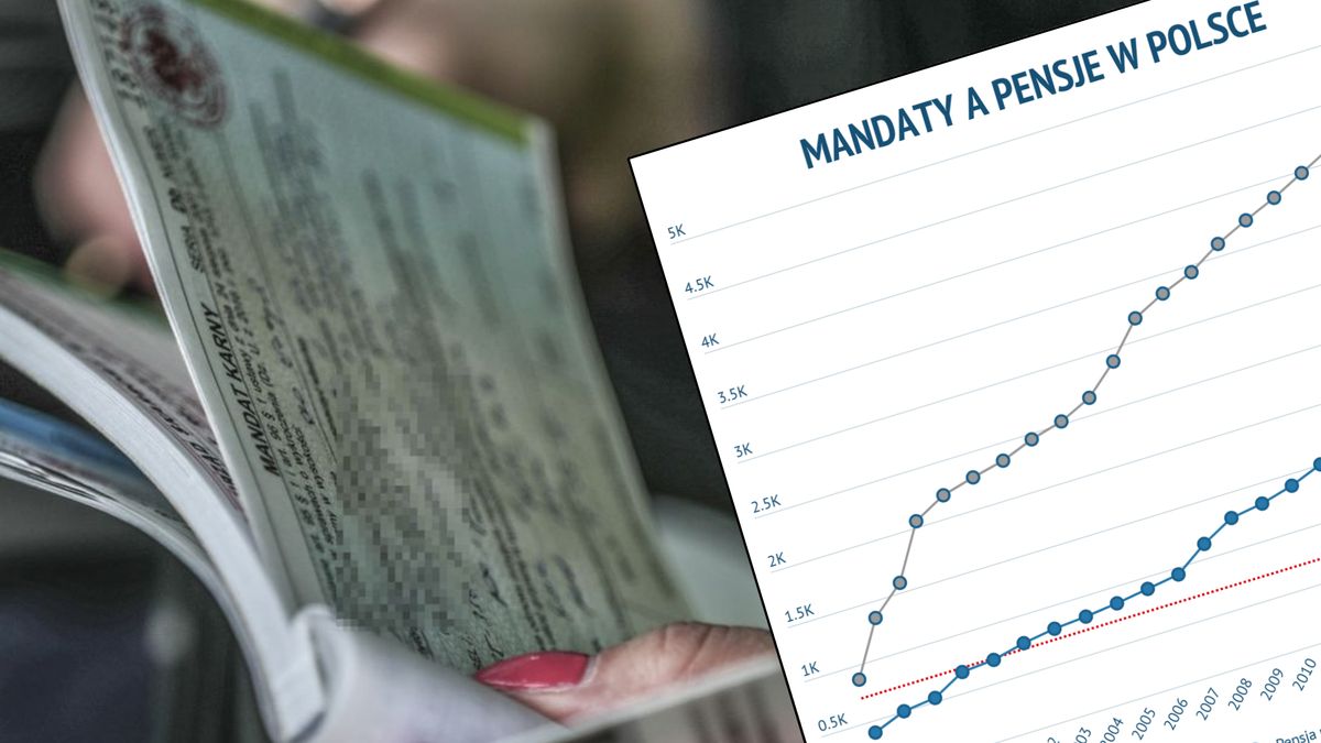Mandaty drogowe w Polsce od lat się nie zmieniają. Tymczasem pensje urosły o ponad 550 proc. 