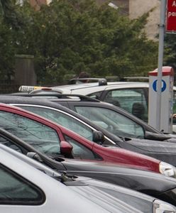 Gigantyczna sieć parkingów powstanie w Łodzi