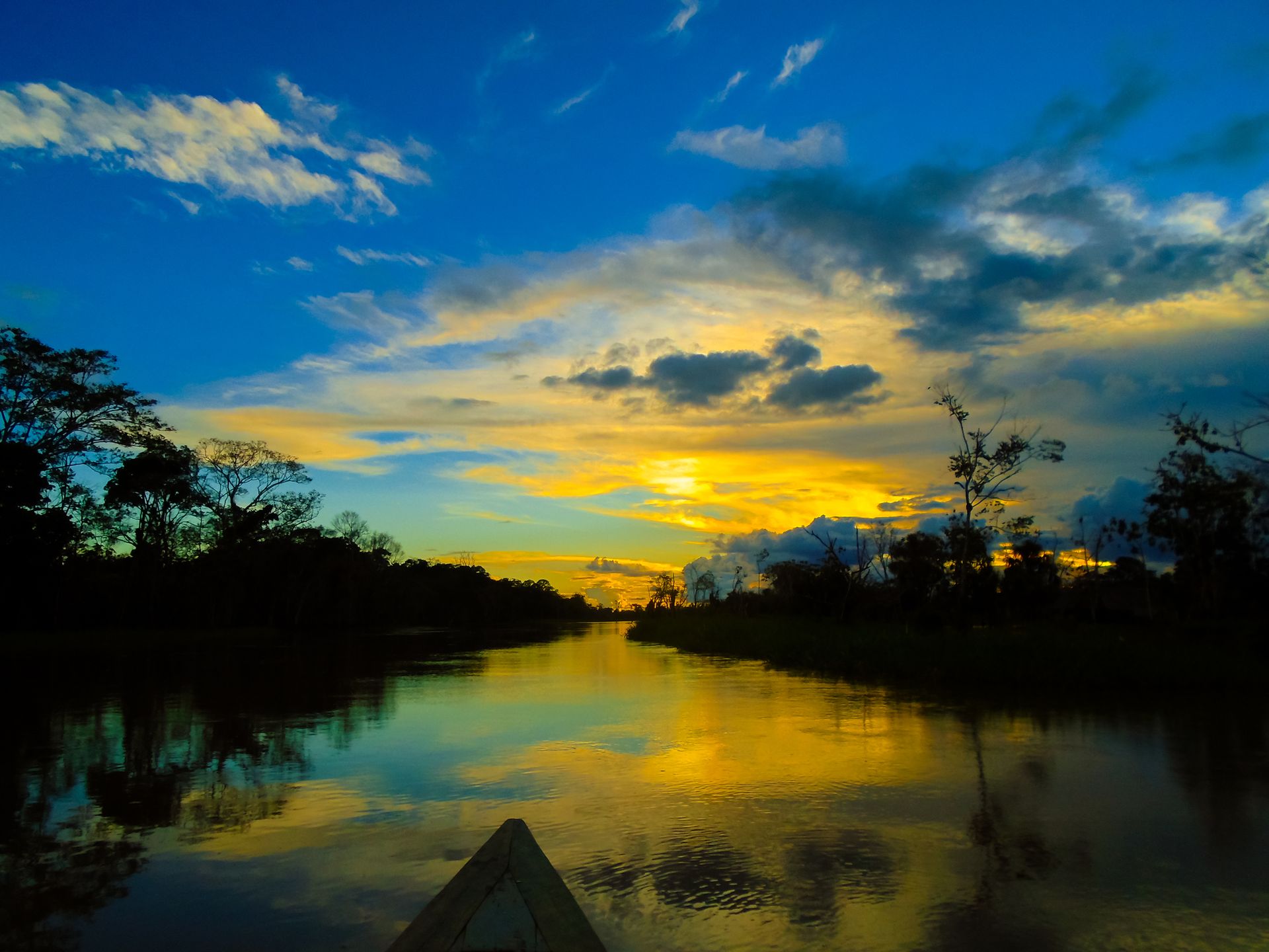 Amazon river 