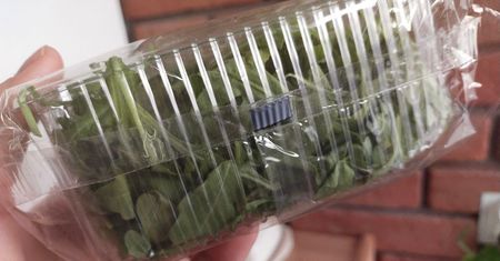 Jesz taką sałatę? To może być bardzo niebezpieczne