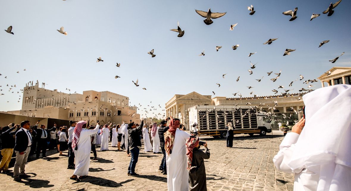 Wspólny lot gołębi w Doha 