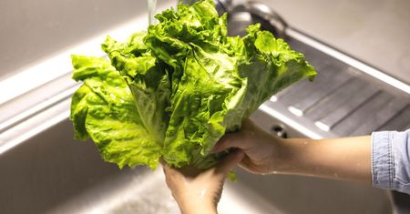 Trik na przywrócenie zwiędłej sałaty "do życia" gorącą wodą to tajemnica sieci marketów w USA