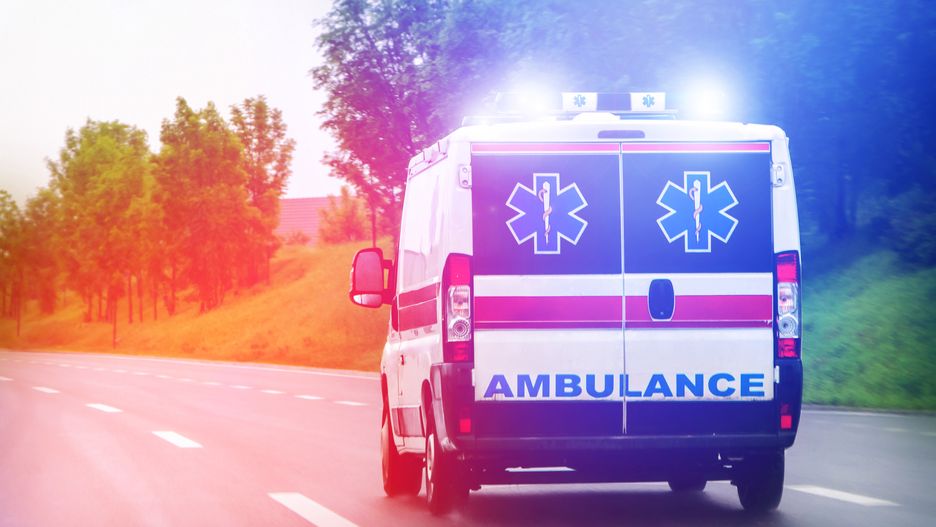 Legnica: Zmarł 13-latek uderzony konarem podczas lekcji WF-u.