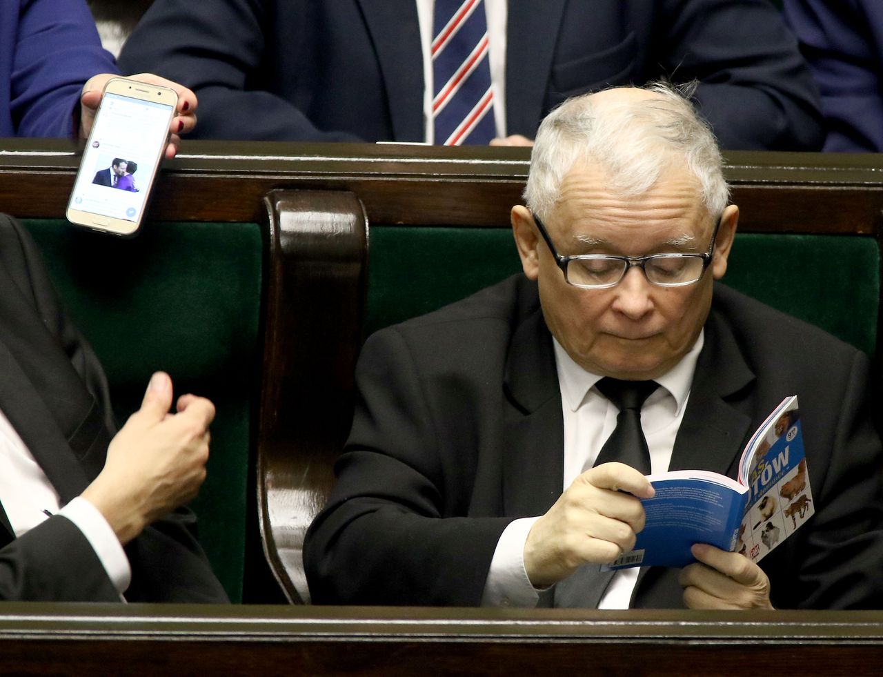 Już ponad 25 tys. złotych za atlas kotów prezesa PiS! A to nie koniec