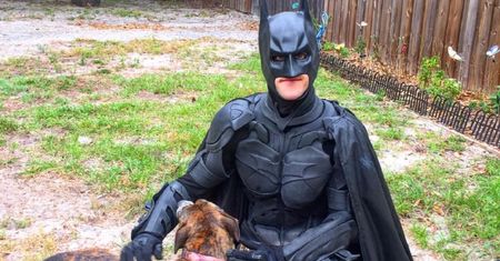 Batman uratował życie dziesiątek zwierząt