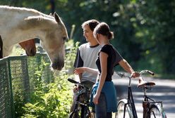 Prognoza na weekend. Wraca babie lato