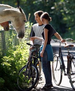 Prognoza na weekend. Wraca babie lato