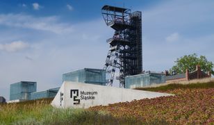 Mówisz Katowice, myślisz węgiel. Nie możesz się bardziej mylić