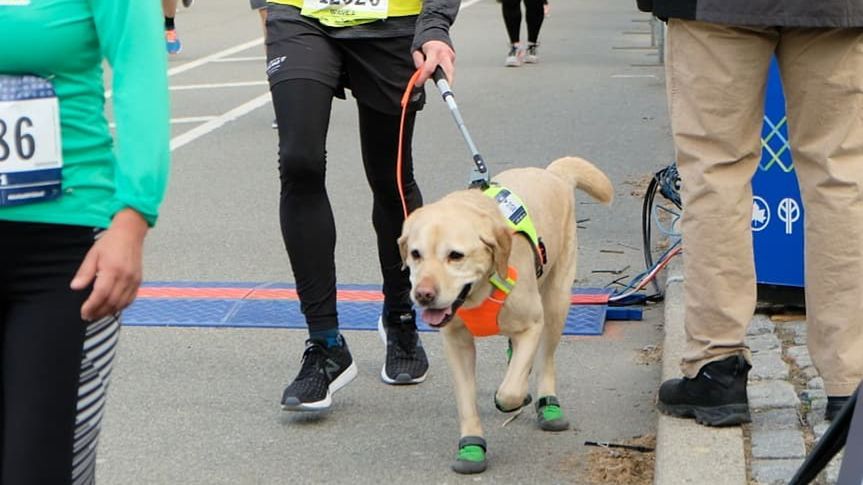 Thomas Panek ukończył półmaraton z pomocą psów przewodników