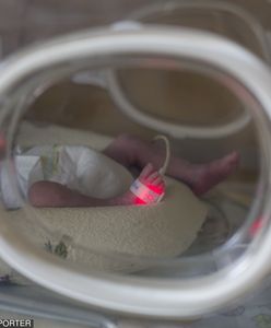 Sześcioraczki w Krakowie. Prawie 50 tys. zł rocznie dla rodziców