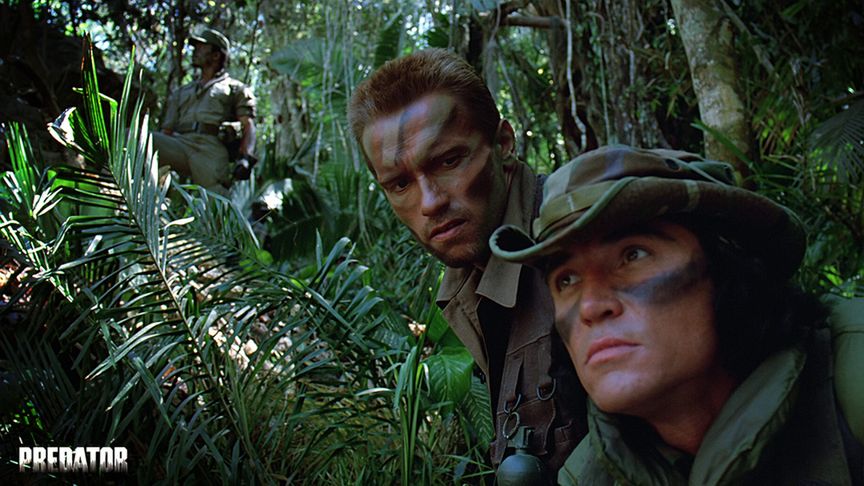 Predator 
