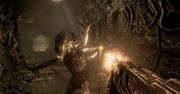 Aliens vs Predator: w trybie Survivor nie da się wygrać
