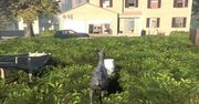 Goat Simulator był tylko żartem, ale stanie się grą