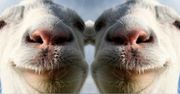 Goat Simulator dostanie tryb wieloosobowy