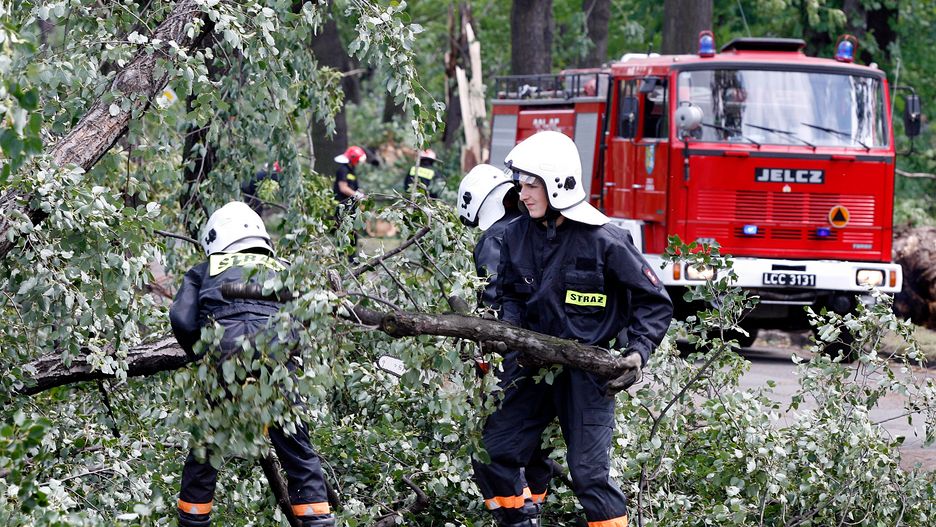 Wiatr może uszkadzać linie energetyczne i łamać gałęzie drzew.