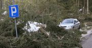 Groźne wichury nad Polską. To nie koniec