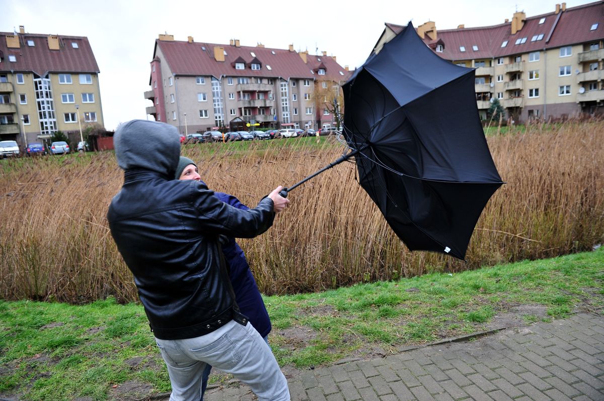 Będzie mocno wiało. Sprawdź prognozę na trzy dni