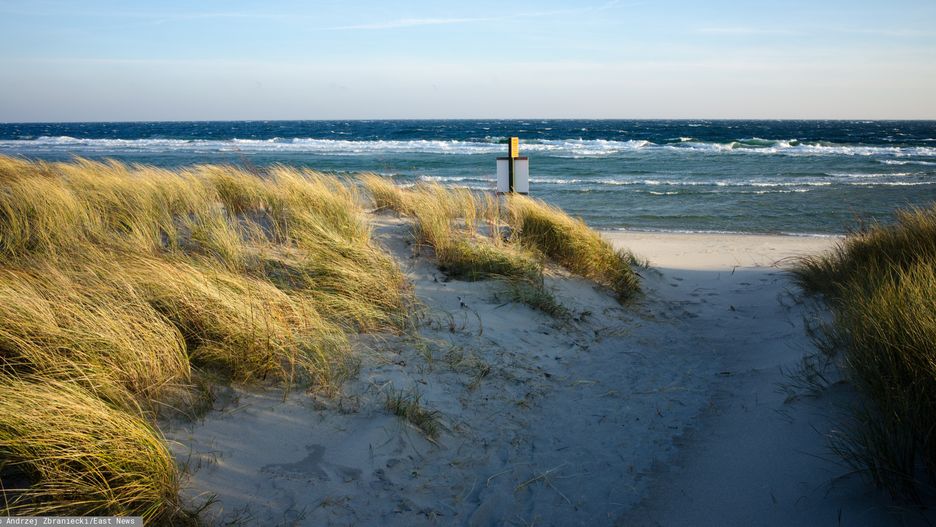 Pogoda. IMGW ostrzega przed wiatrem