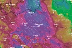 IMGW ostrzega przed silnym wiatrem w całej Polsce. Powieje z prędkością nawet 100 km na godzinę