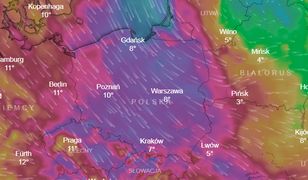 IMGW ostrzega przed silnym wiatrem w całej Polsce. Powieje z prędkością nawet 100 km na godzinę