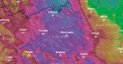 IMGW ostrzega przed silnym wiatrem w całej Polsce. Powieje z prędkością nawet 100 km na godzinę