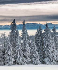 Zima uderza pełną mocą. Śnieg zasypał góry oraz Górny Śląsk