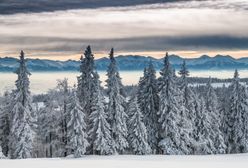 Śnieg w środku lata. Takie rzeczy tylko w Tatrach