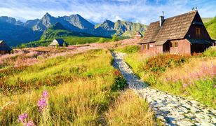 Food trucki przy tatrzańskich szlakach. Świeże jedzenie bez konserwantów