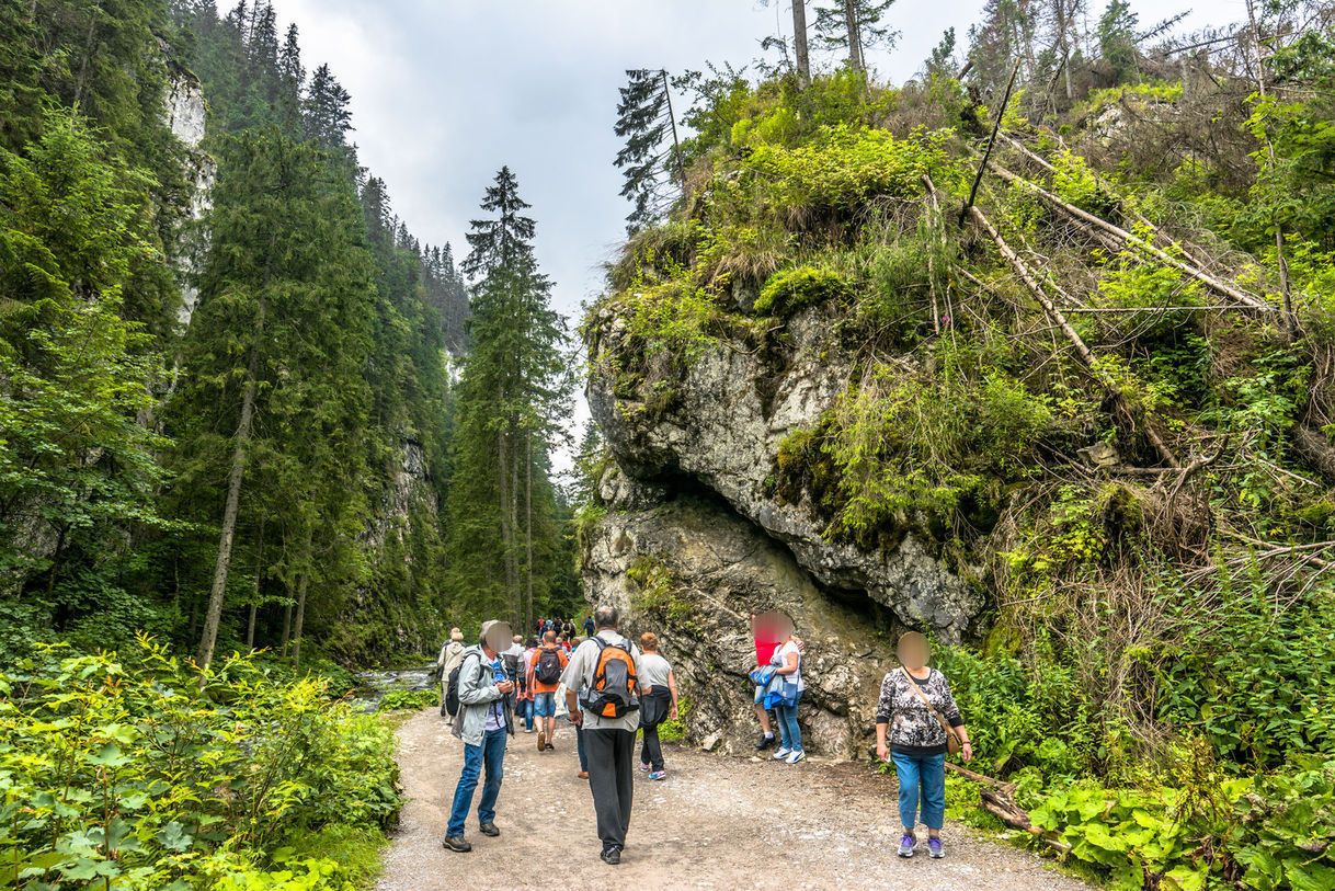 Tatry. Relacja po tragicznej w skutkach burzy. "Nie mogłam na to patrzeć, na tę skalę"