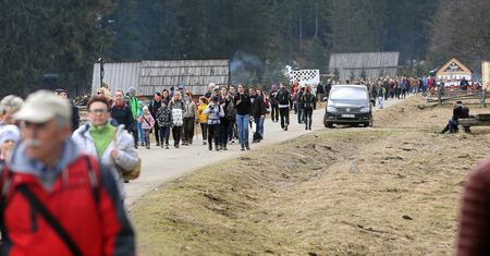 Turyści znowu najechali Tatry. Parkowali nawet na kwitnących krokusach