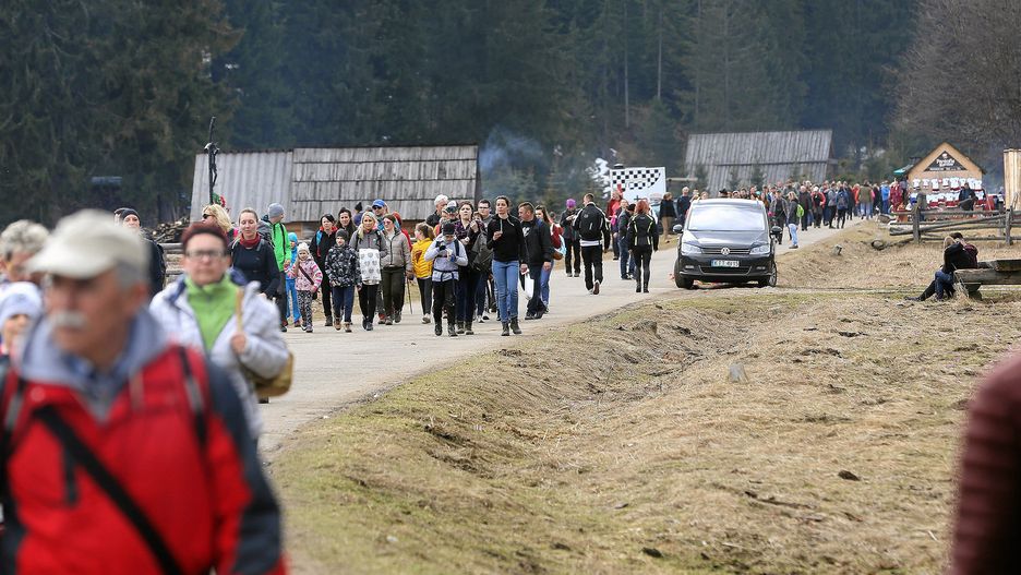 Tłumy turystów w Dolinie Chochołowskiej. Ludzie przyjechali oglądać kwitnące krokusy.