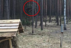 Przyjrzyj się uważnie. To dowód na bezgraniczną podłość kłusowników