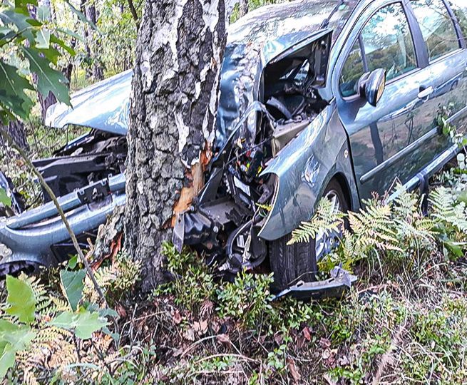 Auto wbiło się w drzewo. Sprawca zdarzenia się nie zatrzymał