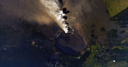 Wulkan, sądy i zwierzęta. Najlepsze zdjęcia tygodnia