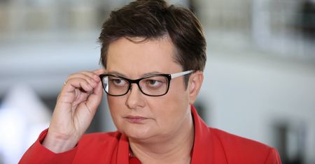 Funkcjonariusz Straży Marszałkowskiej groził Katarzynie Lubnauer. Usłyszał dwa zarzuty