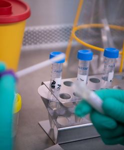 Badacze po raz pierwszy obchodzą swoje święto. Datę Dnia Nauki Polskiej wybrano nieprzypadkowo