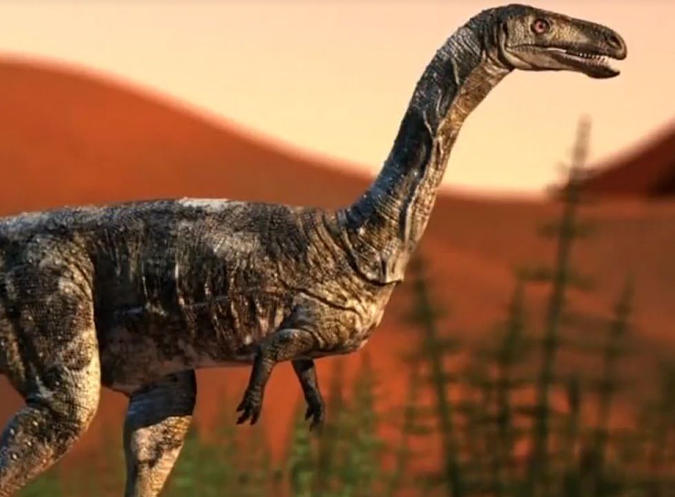 Szczątki miniaturowego T-rexa znalezione w Brazylii. Naukowcy odkryli nowy gatunek